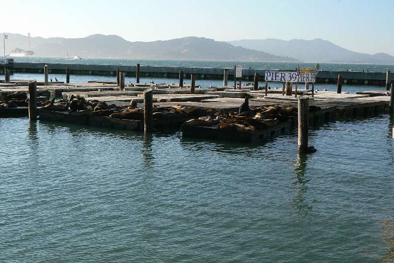 38 Pier 39 SAN FRANCISCO